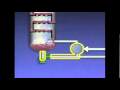 Piping Design Videos 01: Process Systems and Operations